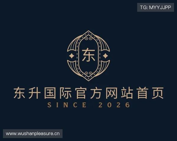 了解东升国际