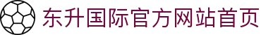 东升国际-科技赋能场景,让娱乐更有趣。